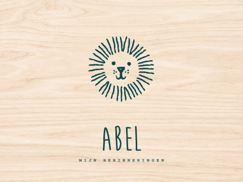 Memorybox hout geboorte leeuw