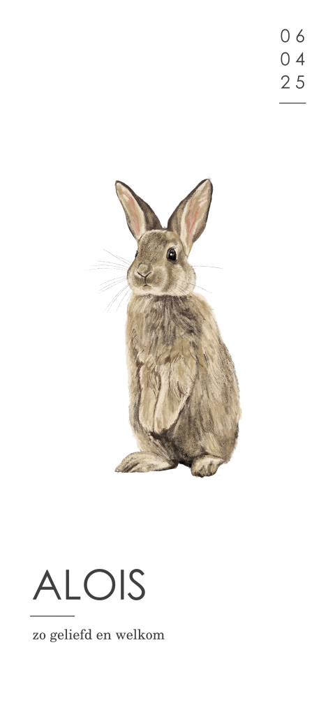 Modern geboortekaartje meisje met konijn