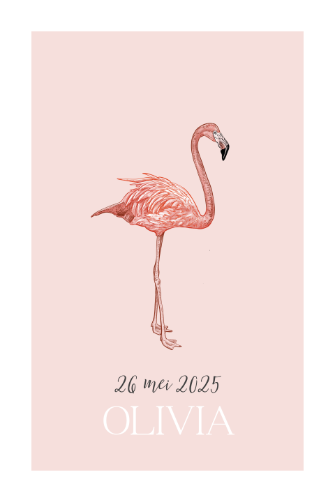 Geboortekaartje meisje met flamingo en roze thema