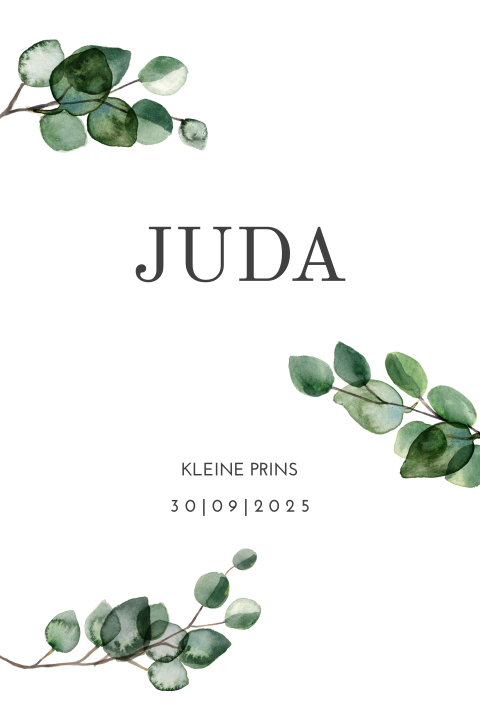 Stoer botanisch geboortekaartje jongen met blaadjes