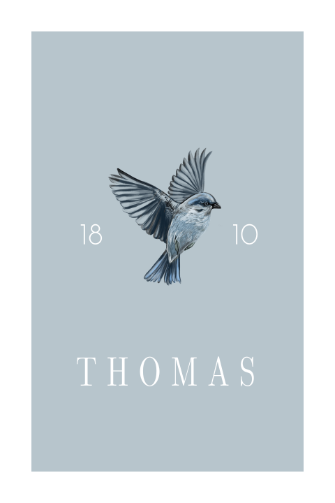 Trend geboortekaartje met vogel blauw