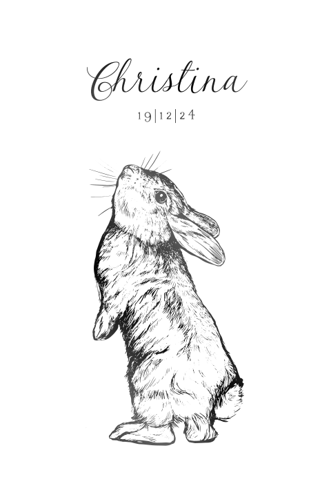 Klassiek geboortekaartje meisje met konijntje en zwartfolie