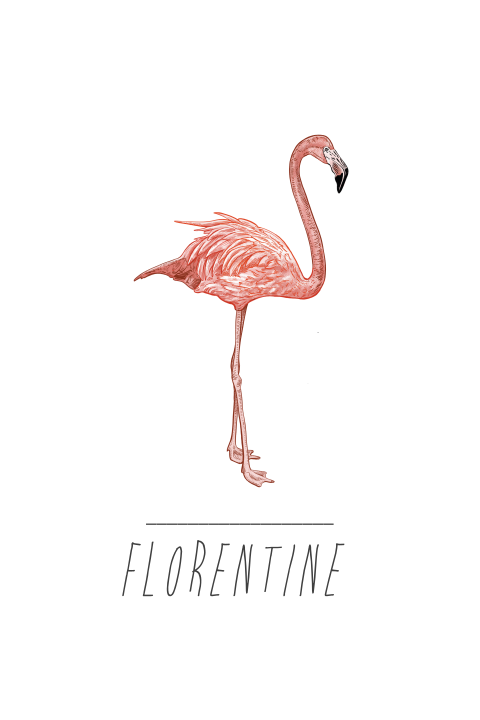 Minimalistisch geboortekaartje meisje met flamingo