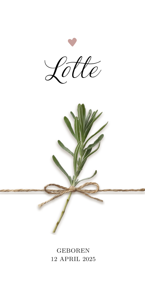 Geboortekaartje dochter met hartje en touwtje (takje zelf regelen)
