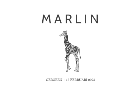 Trend geboortekaartje met giraf in zwart wit