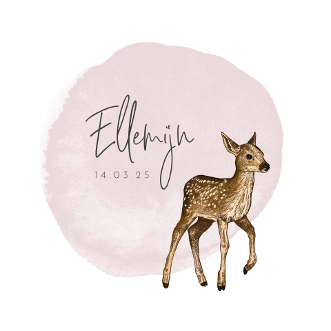 Christelijk geboortekaartje meisje met hertje en watercolor