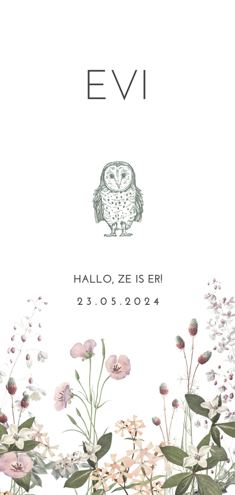 Romantisch geboortekaartje zusje met uiltje