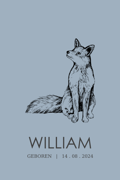 Stoer geboortekaartjes voor jongen met vosje