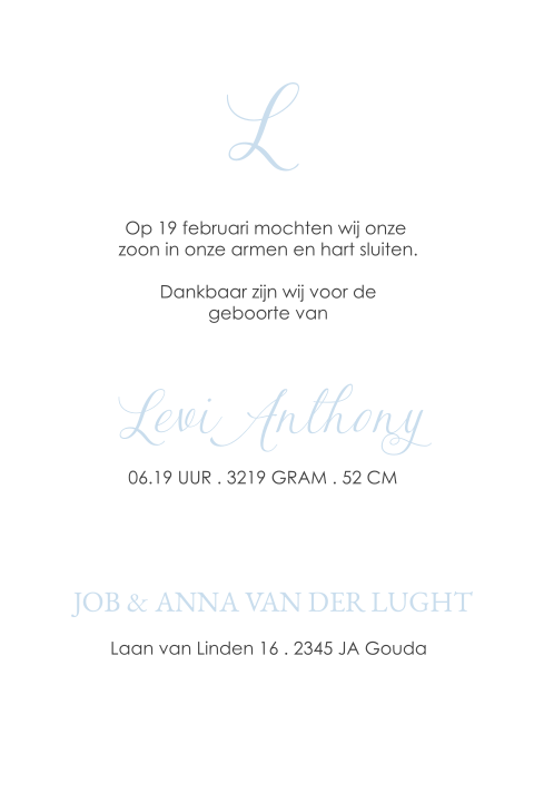 Rustig geboortekaartje jongen voor in pocketfold