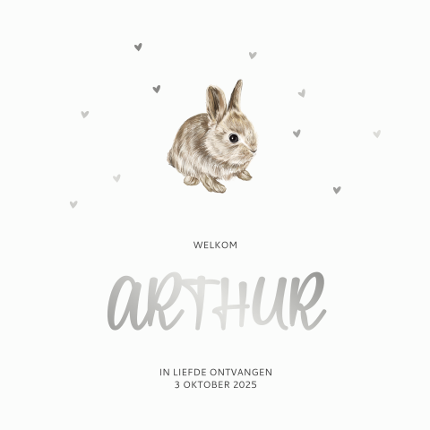Geboortekaartje jongen met zilverfolie, konijntje en hartjes