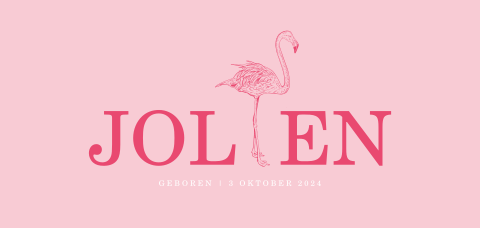Geboortekaartje meisje met roze flamingo