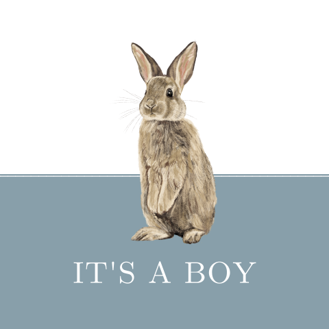 Felicitatie geboorte jongen met blauw en diertje
