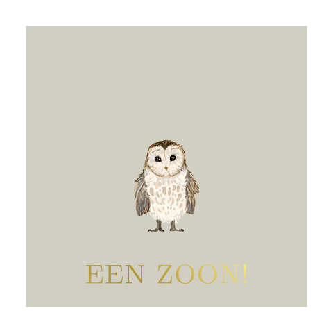 Kaartje sturen voor geboorte zoon met uiltje en goudfolie