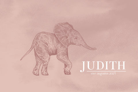 Eenvoudig geboortekaartje meisje met olifantje
