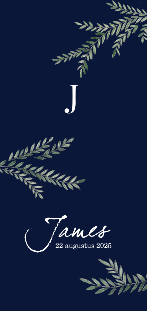 Geboortekaartje jongen blauw met takjes en initiaal