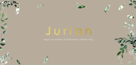 Botanisch geboortekaartje jongen met goudfolie en blaadjes