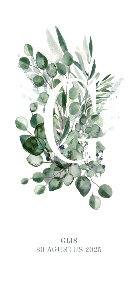 Botanisch geboortekaartje jongen met blaadjes en takjes