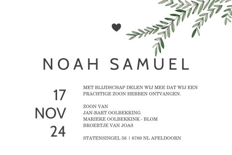 Botanisch geboortekaartje jongen met blaadjes en hartje