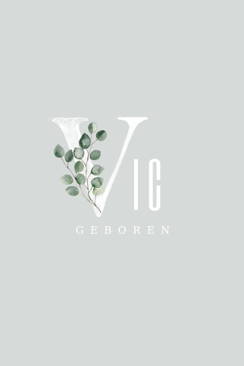 Geboortekaartje voor jongen met blaadjes