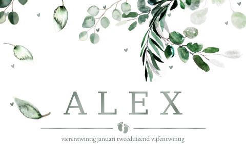 Botanisch geboortekaartje jongen met blaadjes en hoogglans