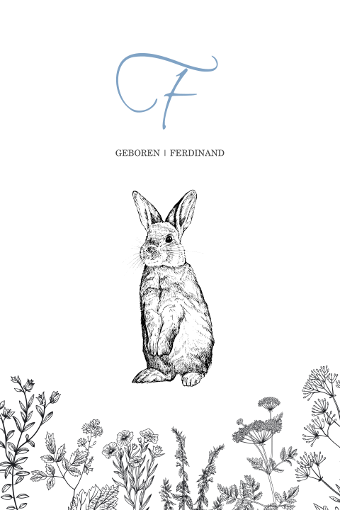 Trend geboortekaartje jongen met konijntje