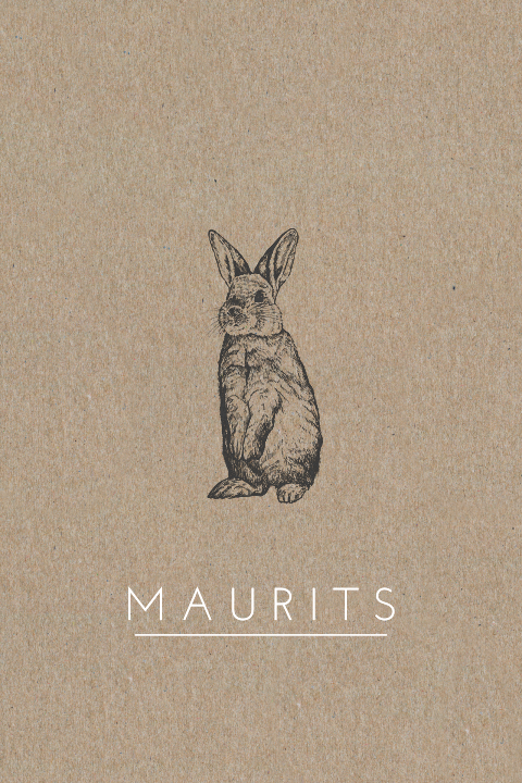 Kraft geboortekaartje jongen met konijntje