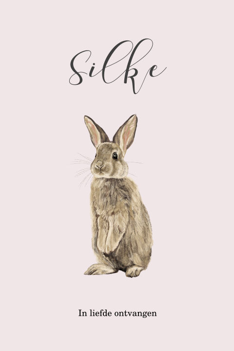 Geboortekaartje dochter met lief konijntje