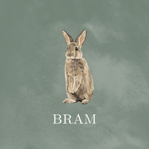 Kaartje voor geboorte zoon met lief konijntje