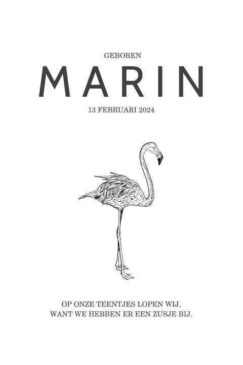 Babykaartje zusje met flamingo