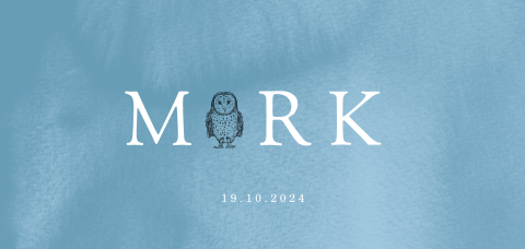 Minimalistisch geboortekaartje jongen met uiltje