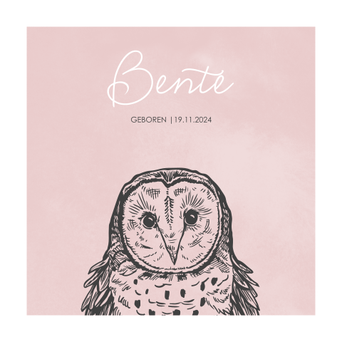 Geboortekaartje dochter met uil en roze achtergrond