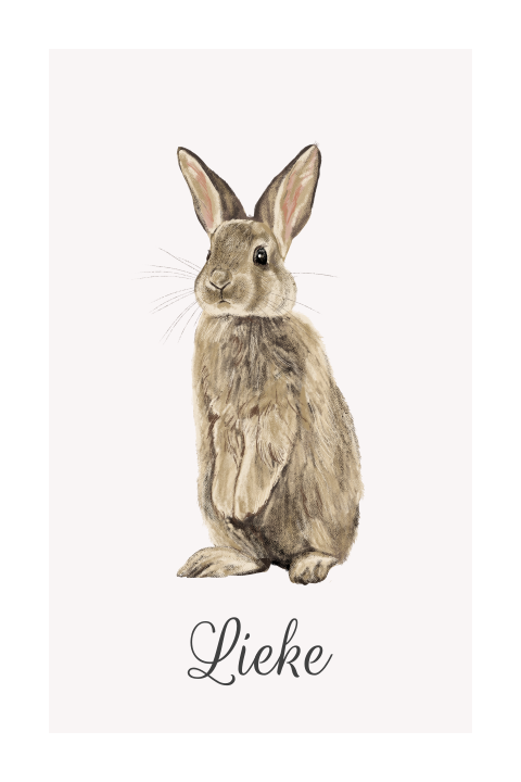 Geboortekaartje meisje met schattig konijntje