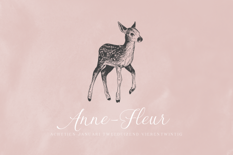 Lief geboortekaartje meisje met hertje en watercolor