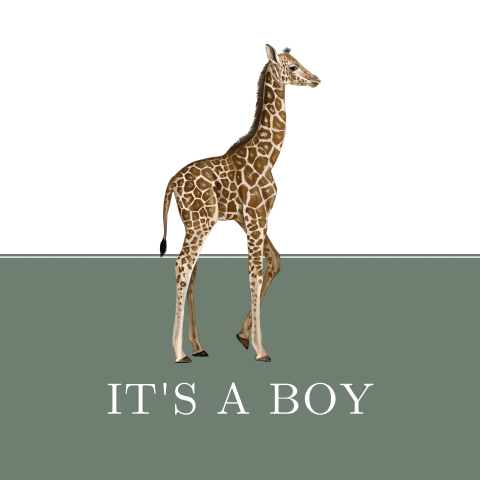Kaartje sturen voor geboorte jongen met giraffe