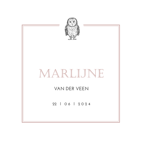 Klassiek geboortekaartje meisje met een uil