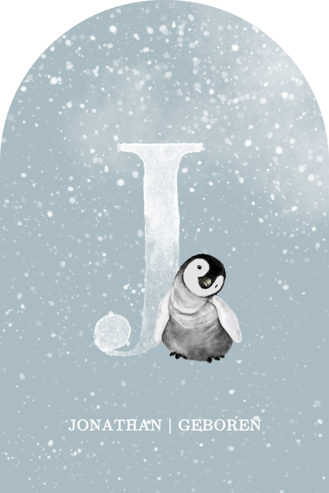 Winter geboortekaartje voor jongen met sneeuw