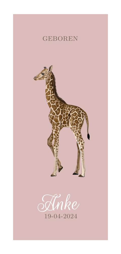 Geboortekaartje giraf voor meisje in roze