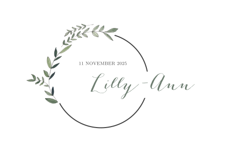 Geboortekaartje dochter met takje en geometrisch figuur