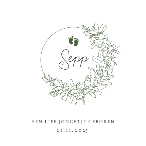 Klassiek geboortekaartje jongen met kransje bladeren