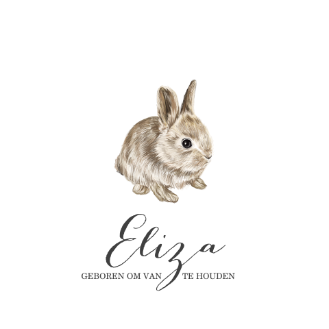 Trend geboortekaartje meisje met konijntje