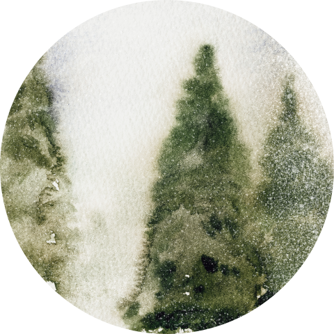 Stickers met kerstbomen