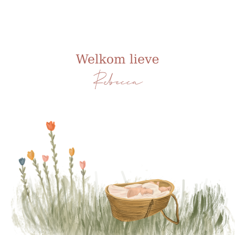 Vrolijk geboortekaartje met mandje 