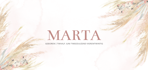 Trend geboortekaartje voor een meisje met droogboemen