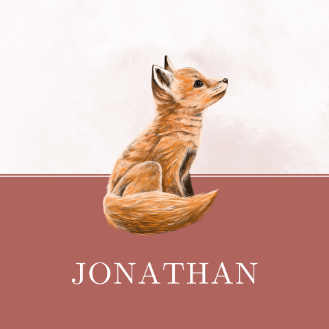 Kaartje sturen geboorte jongen met vosje