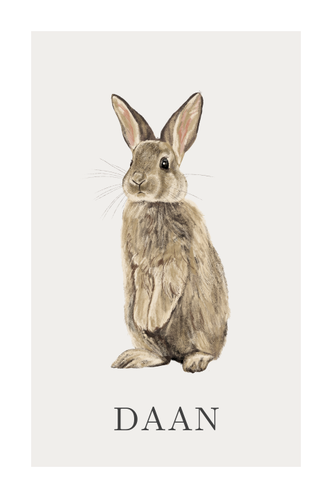 Geboortekaartje jongen met schattig konijntje