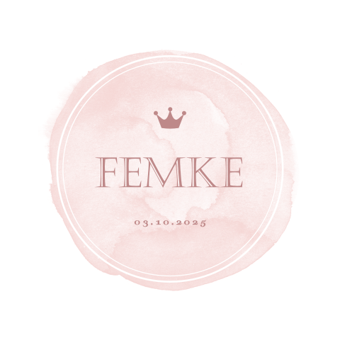 Geboortekaartje meisje met roze thema en kroontje