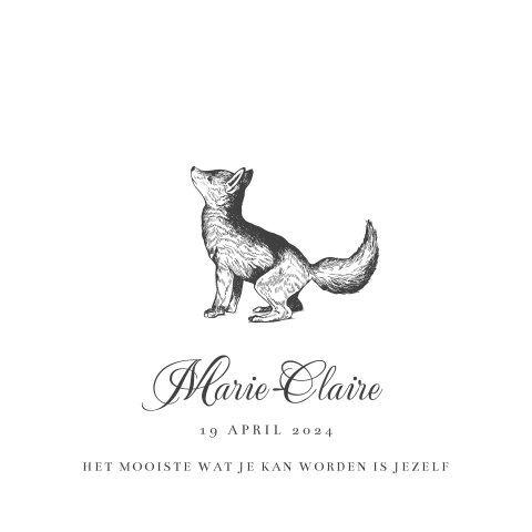 Klassiek geboortekaartje meisje met vosje