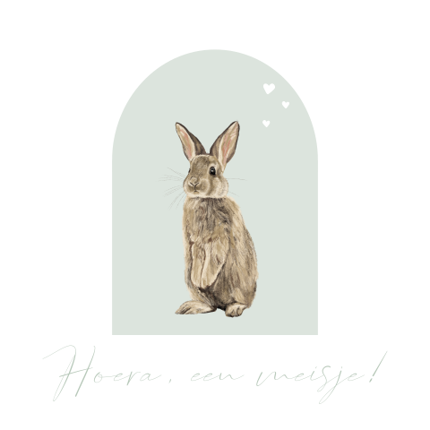 Kaartje sturen voor geboorte meisje met konijntje in mint groen