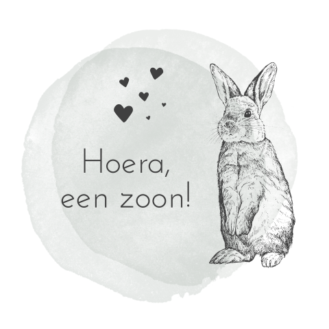 Kaartje sturen voor geboorte zoon met konijntje