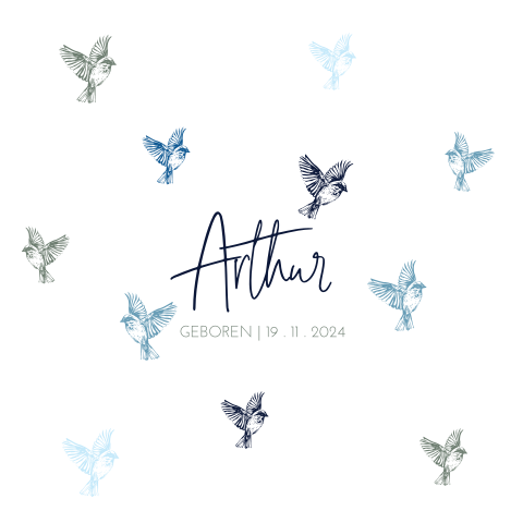 Trend geboortekaartje jongen met kleurrijke vogels